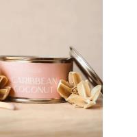 Pintail Candles Caribbean Coconut Paint Pot Candle Extra Image 3 Preview
